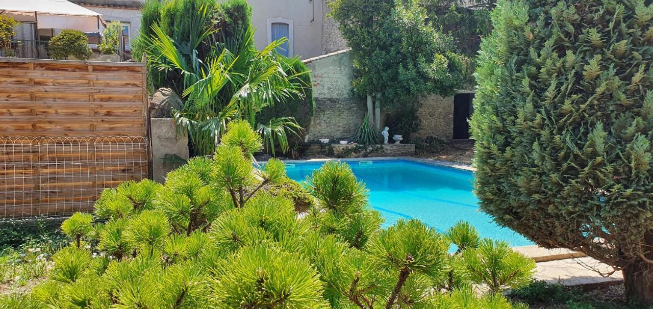 La Casa De Margarita Y Sisco, Villa Avec Piscine Carcassonne Ngoại thất bức ảnh