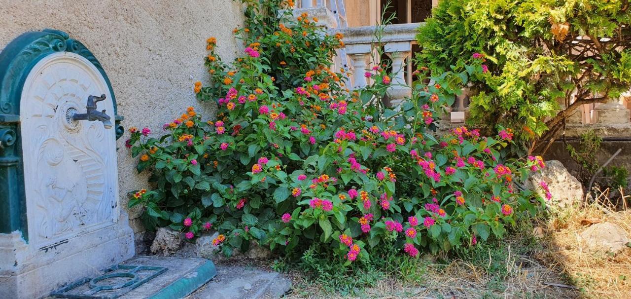 La Casa De Margarita Y Sisco, Villa Avec Piscine Carcassonne Ngoại thất bức ảnh
